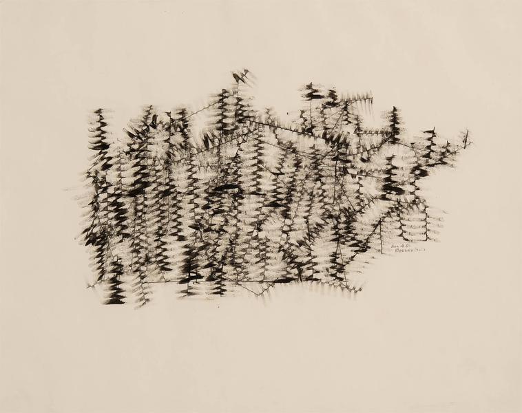 Untitled (Winter Branches), 1950 ink on paper 19&q...