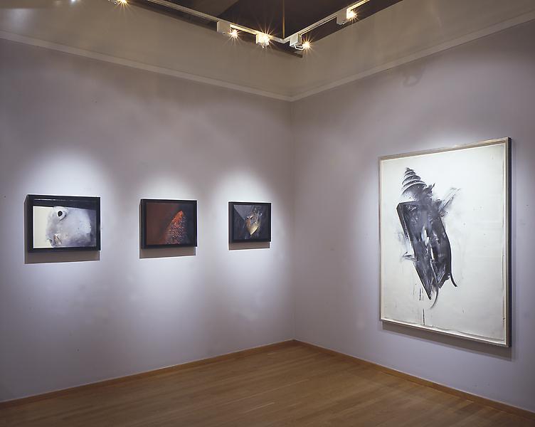 Installation Views - Jay DeFeo: Ingredients of Alchemy, Before and After The Rose - March 14 – May 4, 2002 - Exhibitions