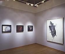Jay DeFeo: Ingredients of Alchemy, Before and Afte...