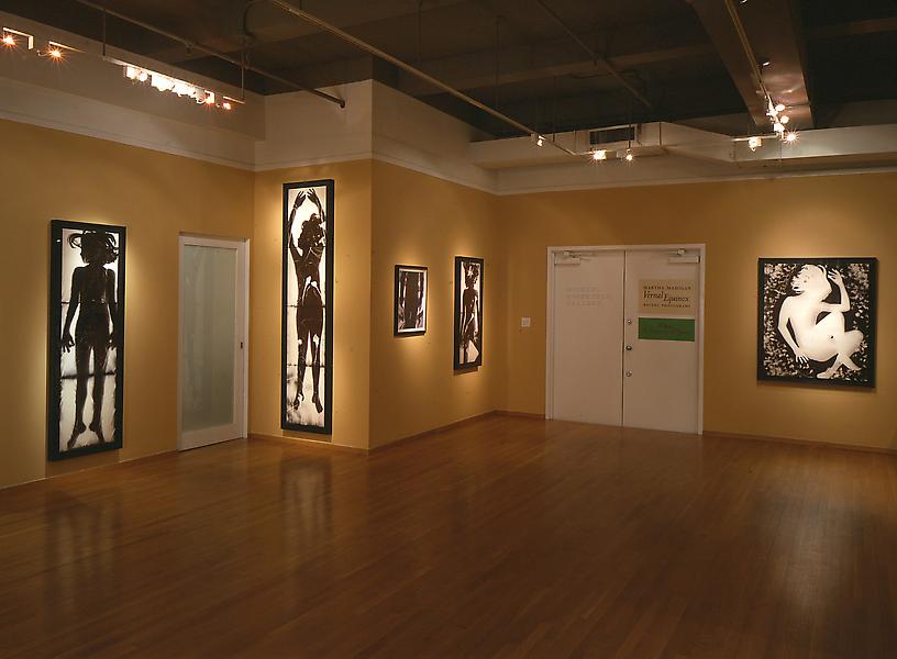 Installation Views - Martha Madigan: Vernal Equinox, Recent Photograms - May 8 – June 30, 2001 - Exhibitions