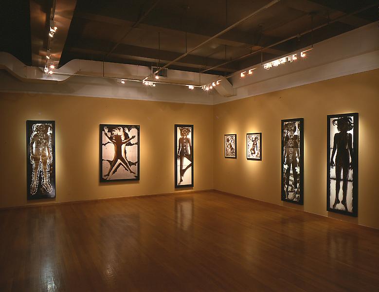 Installation Views - Martha Madigan: Vernal Equinox, Recent Photograms - May 8 – June 30, 2001 - Exhibitions