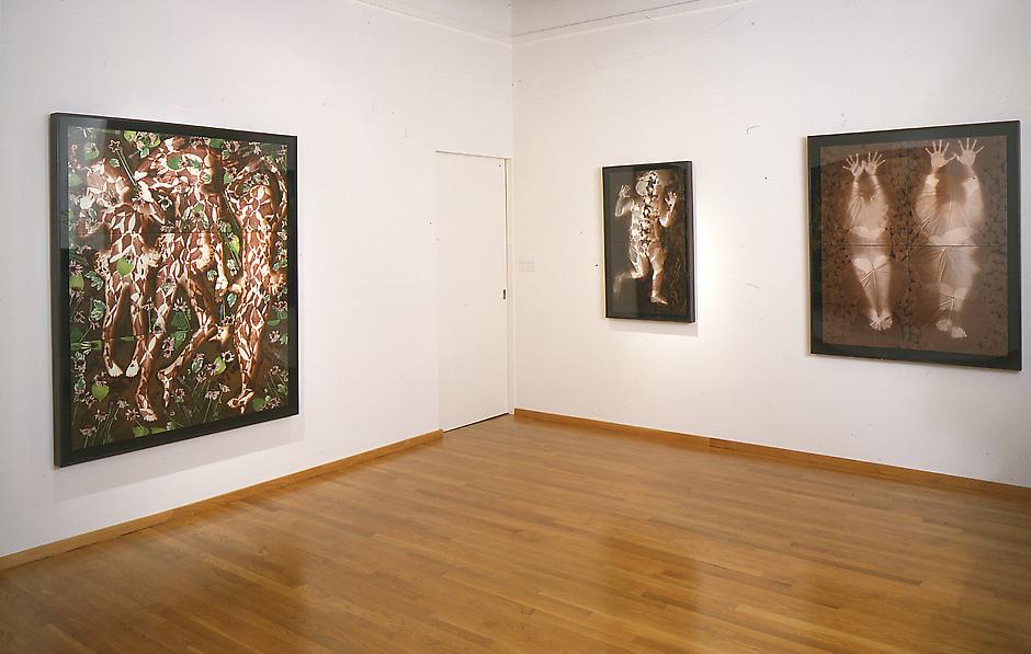 Installation Views - Martha Madigan: Human Nature - September 22 – November 10, 1994 - Exhibitions