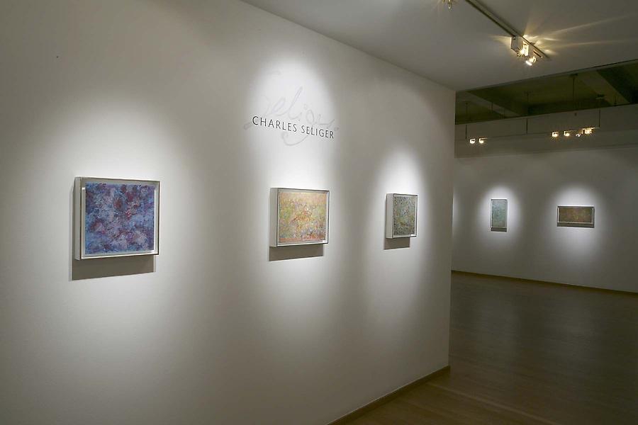 Installation Views - Charles Seliger: Ways of Nature - September 6 – October 25, 2008 - Exhibitions