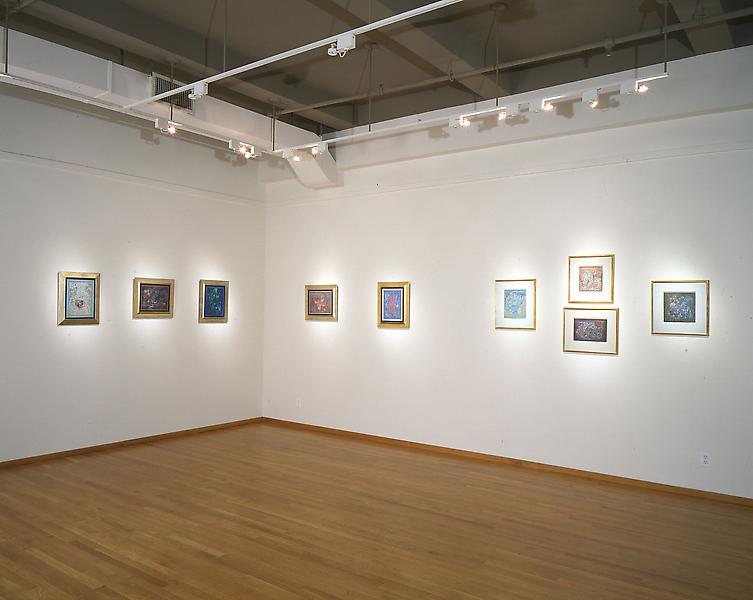 Installation Views - Charles Seliger: Nature's Journal, Recent Painting - February 19 – April 2, 1994 - Exhibitions