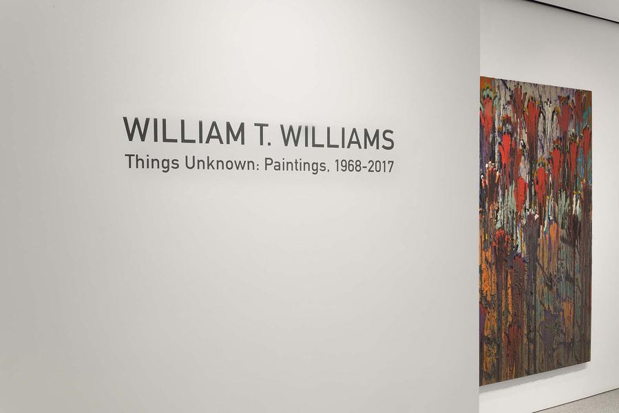 Installation Views - William T. Williams: Things Unknown Paintings, 1968-2017 - April 7 – June 10, 2017 - Exhibitions